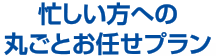 忙しい方への丸ごとお任せプラン